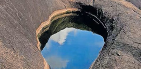 fish-shaped-pond-rock-ayiravalli