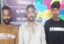 wandoor mdma arrest